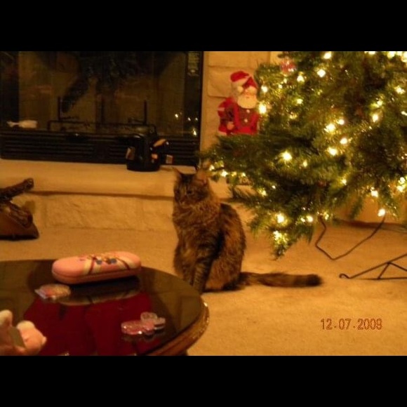 Meet me 😘❤️ - Picture 9 of 12